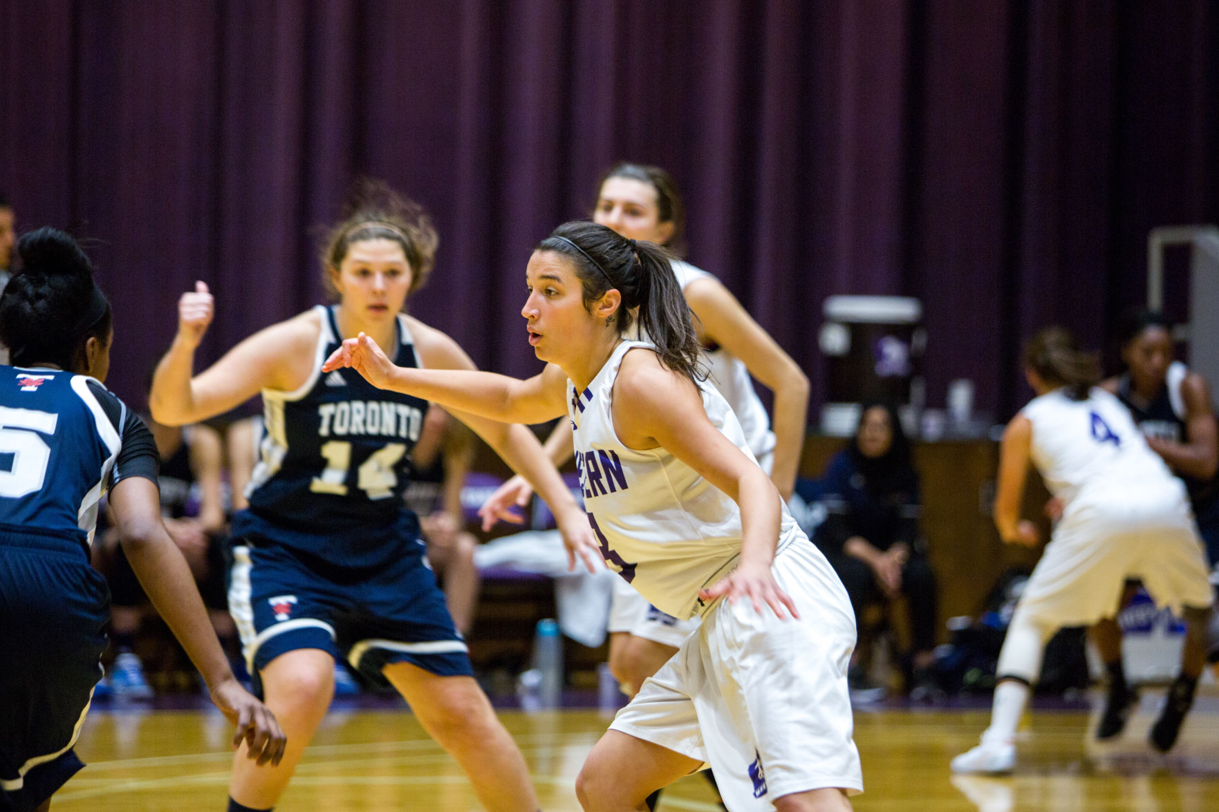 Women's Basketball vs Toronto (Image 1)